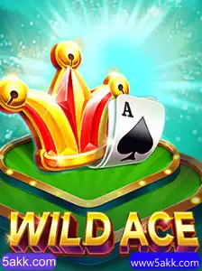 Descubra WildAce: Um Novo Jogo Empolgante em 5akk.com